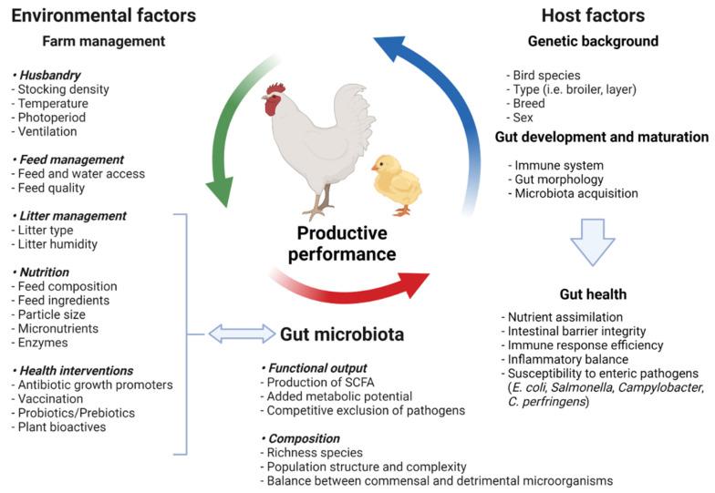 https://cdn.ncbi.nlm.nih.gov/pmc/blobs/2a37/8877156/2e9a0b278f1d/microorganisms-10-00395-g001.jpg
