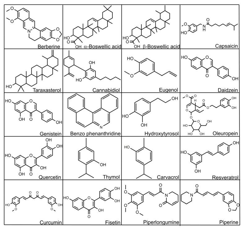 https://cdn.ncbi.nlm.nih.gov/pmc/blobs/2a37/8877156/43d9602bd919/microorganisms-10-00395-g005.jpg