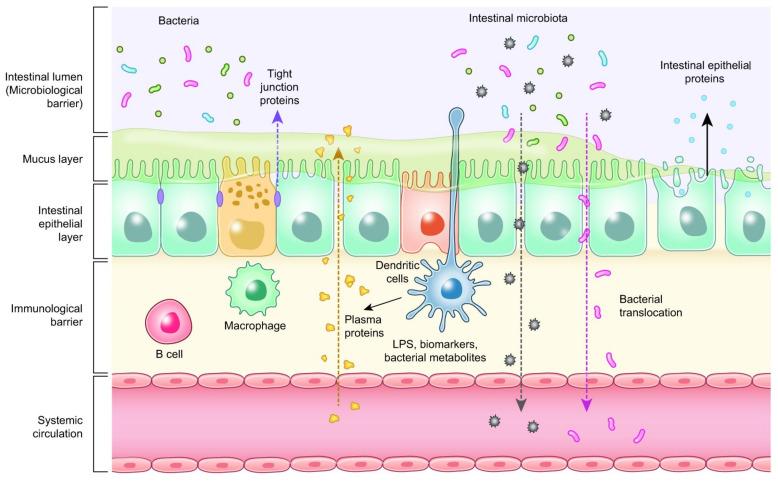 https://cdn.ncbi.nlm.nih.gov/pmc/blobs/2a37/8877156/881ce7a4e0bb/microorganisms-10-00395-g003.jpg