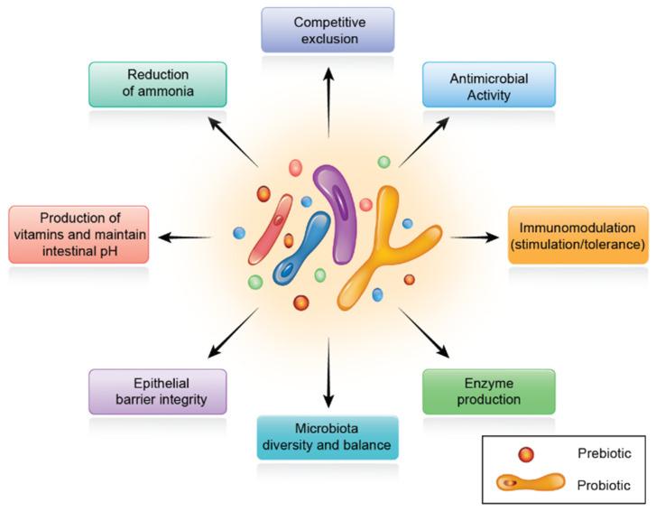 https://cdn.ncbi.nlm.nih.gov/pmc/blobs/2a37/8877156/f124962830cb/microorganisms-10-00395-g004.jpg