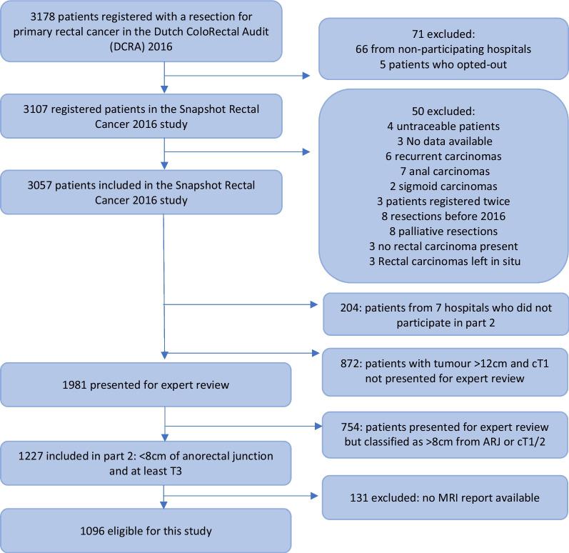 https://cdn.ncbi.nlm.nih.gov/pmc/blobs/2a37/9583997/243631bc0fe5/13244_2022_1303_Fig1_HTML.jpg