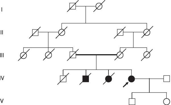 https://cdn.ncbi.nlm.nih.gov/pmc/blobs/2a3c/8008549/33f58f99a8cd/13256_2021_2754_Fig1_HTML.jpg