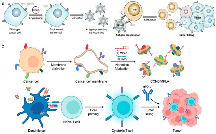 https://cdn.ncbi.nlm.nih.gov/pmc/blobs/2a3e/11209477/ebaffd0824a6/vaccines-12-00603-g005.jpg
