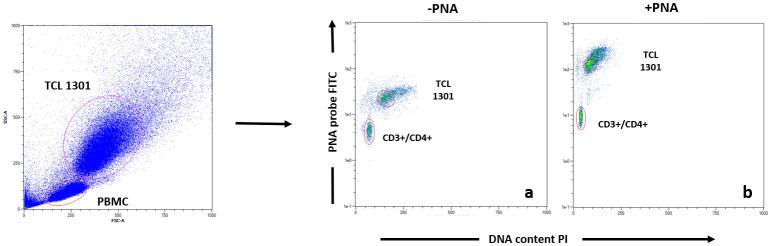 https://cdn.ncbi.nlm.nih.gov/pmc/blobs/2a3e/7746357/4b236e70699c/aging-12-202188-g004.jpg