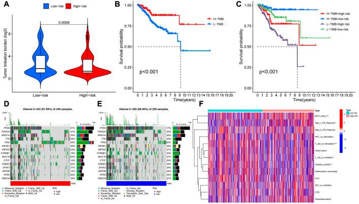 https://cdn.ncbi.nlm.nih.gov/pmc/blobs/2a3f/10130664/251a39977339/fgene-14-1120089-g011.jpg