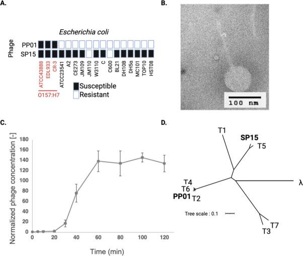 https://cdn.ncbi.nlm.nih.gov/pmc/blobs/2a3f/11237537/e25612bd13e6/spectrum.00427-23.f001.jpg
