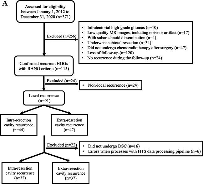 https://cdn.ncbi.nlm.nih.gov/pmc/blobs/2a42/10873240/ff3494b12006/330_2023_10149_Fig2a_HTML.jpg