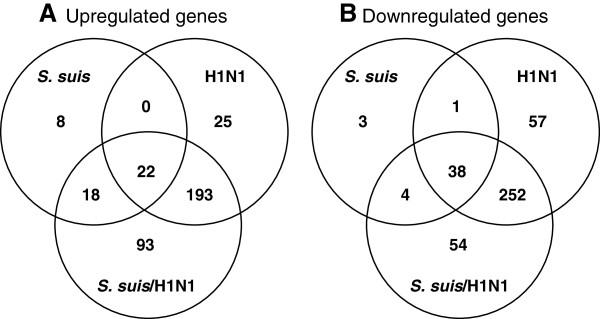 https://cdn.ncbi.nlm.nih.gov/pmc/blobs/2a43/4022123/6f6ec0a33ede/1746-6148-10-86-1.jpg