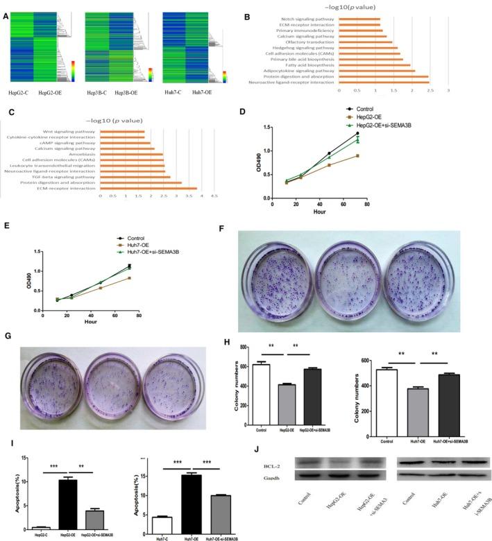 https://cdn.ncbi.nlm.nih.gov/pmc/blobs/2a45/6558597/f564854d918d/CAM4-8-3152-g006.jpg