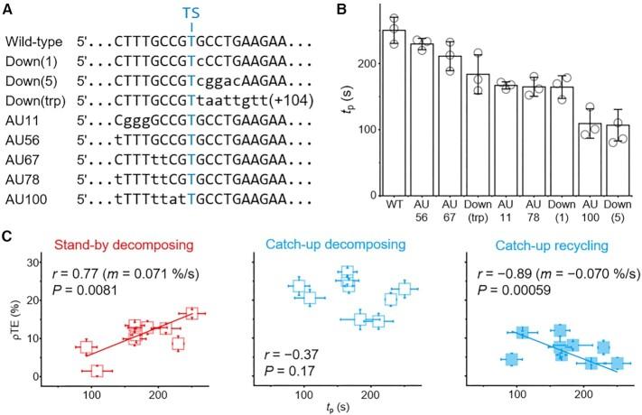 https://cdn.ncbi.nlm.nih.gov/pmc/blobs/2a46/10085680/f9c996ba451c/gkad051fig4.jpg