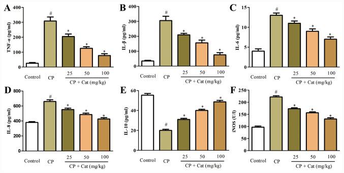 https://cdn.ncbi.nlm.nih.gov/pmc/blobs/2a46/7444339/276b483883eb/etm-20-04-3025-g03.jpg