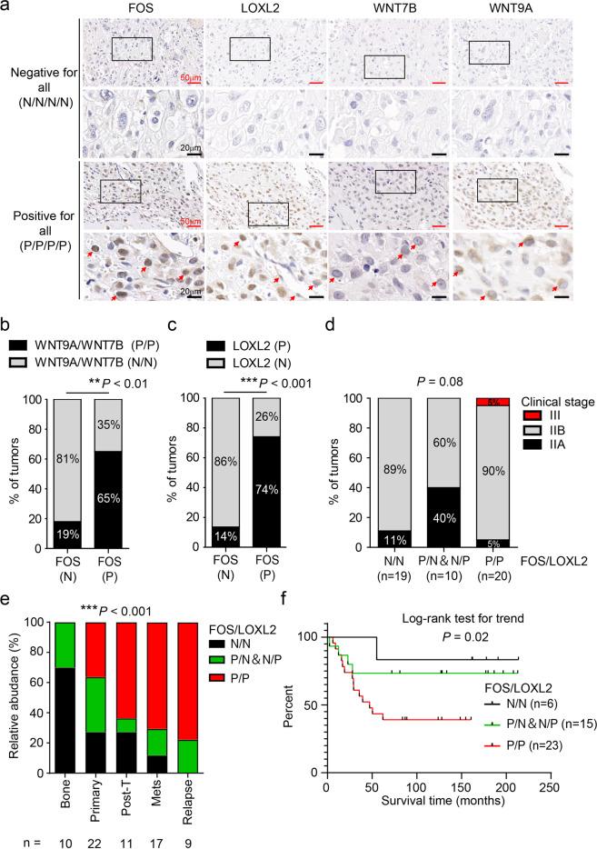 https://cdn.ncbi.nlm.nih.gov/pmc/blobs/2a46/7609652/74813c0d5f6e/41422_2020_370_Fig7_HTML.jpg