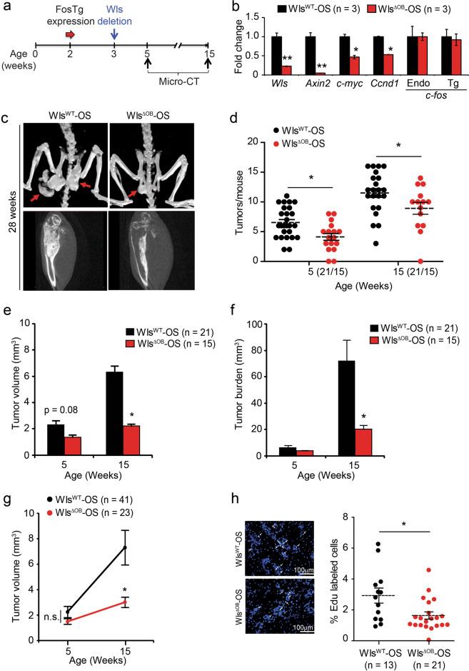 https://cdn.ncbi.nlm.nih.gov/pmc/blobs/2a46/7609652/929a9bdffc53/41422_2020_370_Fig1_HTML.jpg