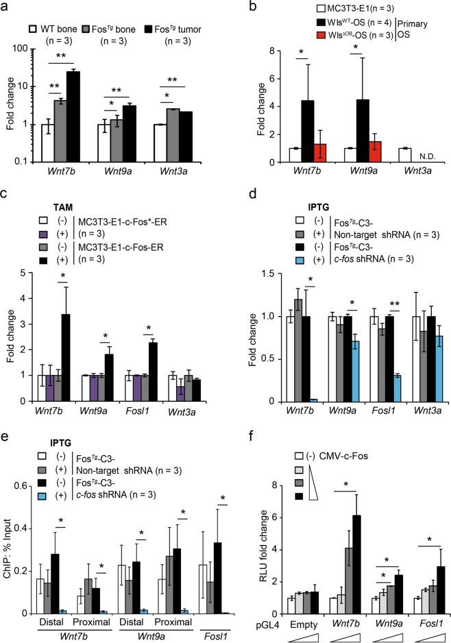 https://cdn.ncbi.nlm.nih.gov/pmc/blobs/2a46/7609652/a13c6adeda27/41422_2020_370_Fig4_HTML.jpg