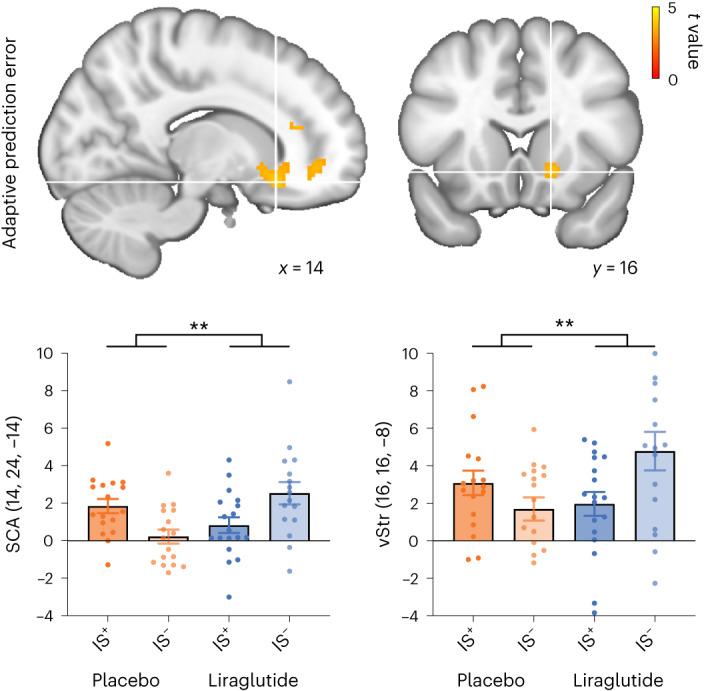 https://cdn.ncbi.nlm.nih.gov/pmc/blobs/2a49/10447249/d7b914899b52/42255_2023_859_Fig3_HTML.jpg