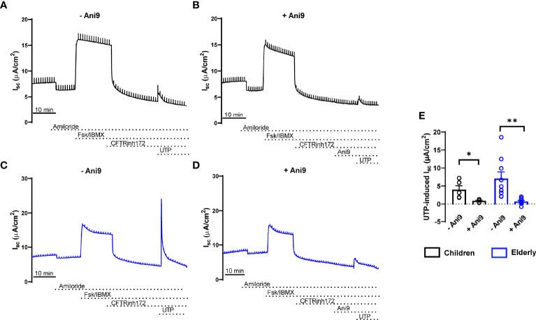 https://cdn.ncbi.nlm.nih.gov/pmc/blobs/2a49/8918506/960f894d84eb/fimmu-13-822437-g003.jpg