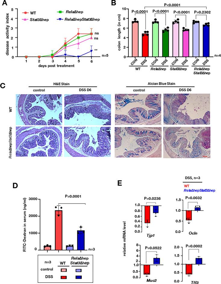 https://cdn.ncbi.nlm.nih.gov/pmc/blobs/2a4a/11321761/6434eab191f7/elife-93273-fig2.jpg