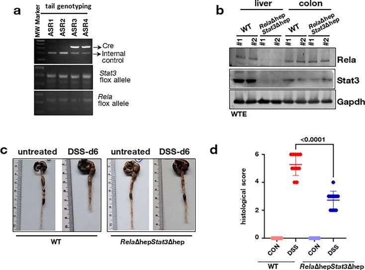 https://cdn.ncbi.nlm.nih.gov/pmc/blobs/2a4a/11321761/aa97c9211b41/elife-93273-fig2-figsupp1.jpg