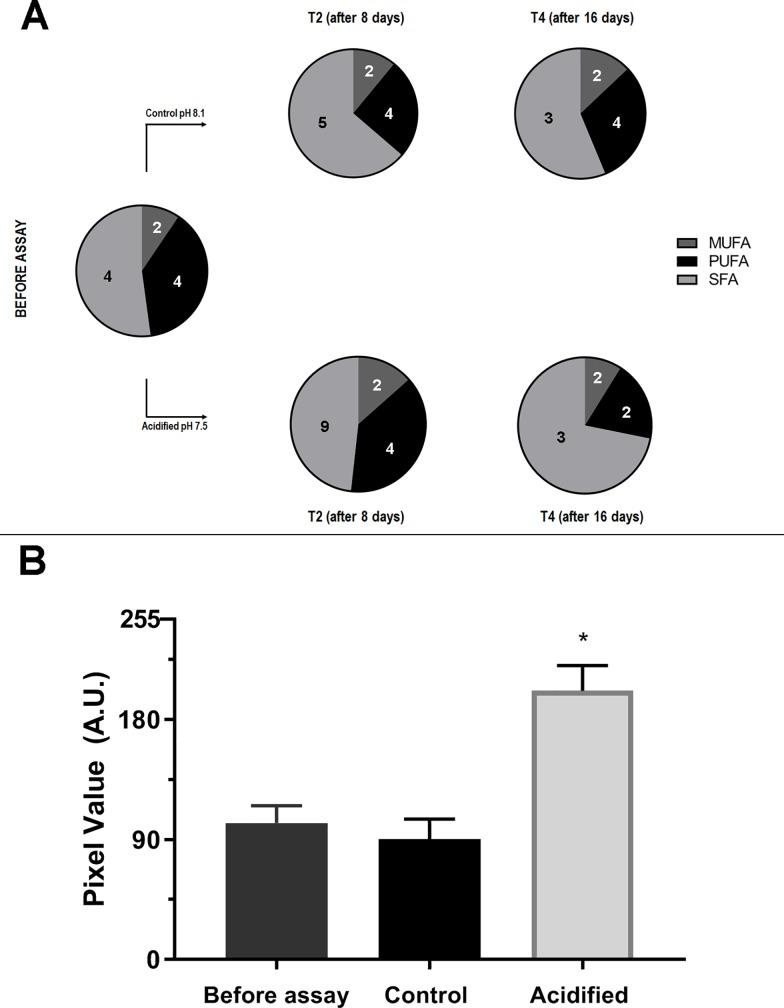 https://cdn.ncbi.nlm.nih.gov/pmc/blobs/2a4a/6681953/954c5a4a4c3a/pone.0220130.g006.jpg