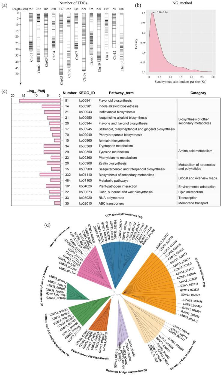 https://cdn.ncbi.nlm.nih.gov/pmc/blobs/2a4b/10003783/9254aa7b2348/ijms-24-04837-g001.jpg