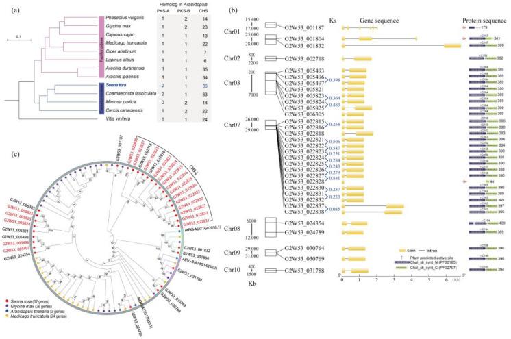 https://cdn.ncbi.nlm.nih.gov/pmc/blobs/2a4b/10003783/b4e0fcd83db6/ijms-24-04837-g002.jpg