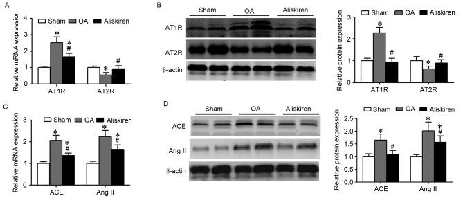 https://cdn.ncbi.nlm.nih.gov/pmc/blobs/2a4e/5646976/afa5cbc14574/MMR-16-04-3965-g04.jpg