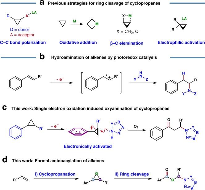 https://cdn.ncbi.nlm.nih.gov/pmc/blobs/2a52/6761154/9b64378d00fe/41467_2019_12403_Fig1_HTML.jpg
