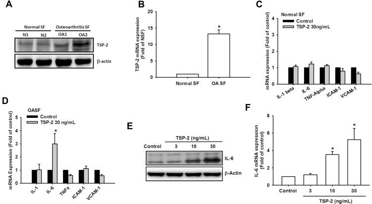 https://cdn.ncbi.nlm.nih.gov/pmc/blobs/2a52/8600055/546e182ef6fe/JIR-14-5955-g0001.jpg