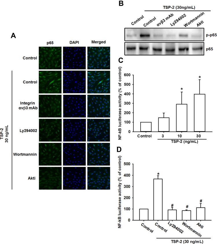 https://cdn.ncbi.nlm.nih.gov/pmc/blobs/2a52/8600055/7804ce0b9949/JIR-14-5955-g0005.jpg