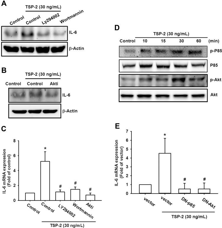 https://cdn.ncbi.nlm.nih.gov/pmc/blobs/2a52/8600055/ba1b4313e493/JIR-14-5955-g0003.jpg