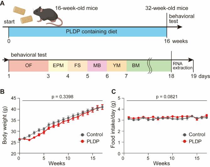 https://cdn.ncbi.nlm.nih.gov/pmc/blobs/2a55/12119931/0f80a235a9e5/41598_2025_3362_Fig1_HTML.jpg
