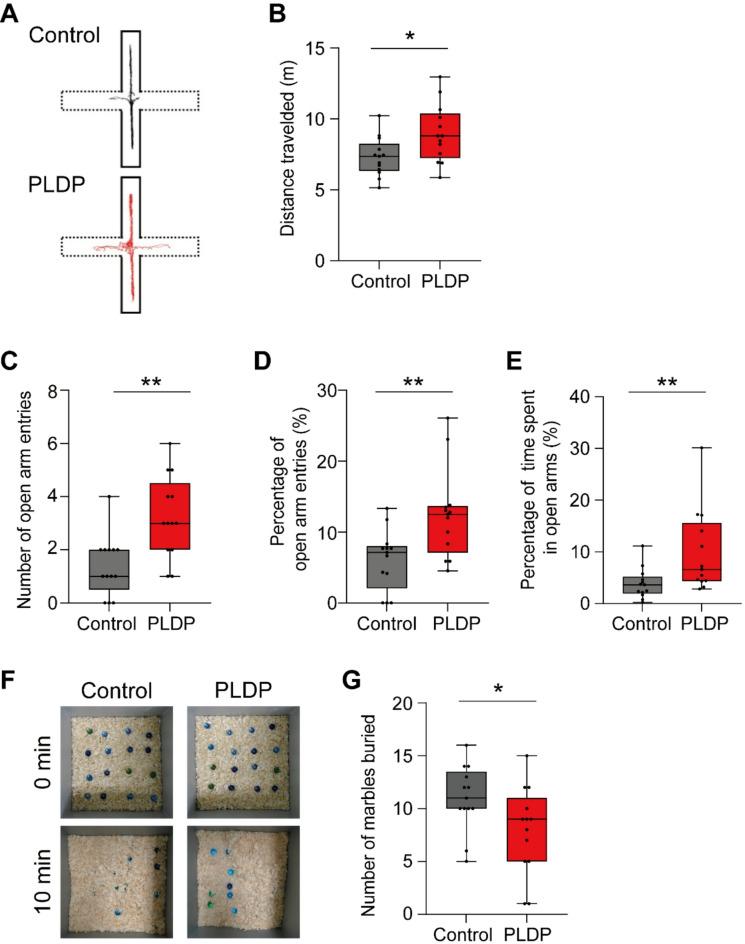 https://cdn.ncbi.nlm.nih.gov/pmc/blobs/2a55/12119931/8b1ac15a19ea/41598_2025_3362_Fig4_HTML.jpg