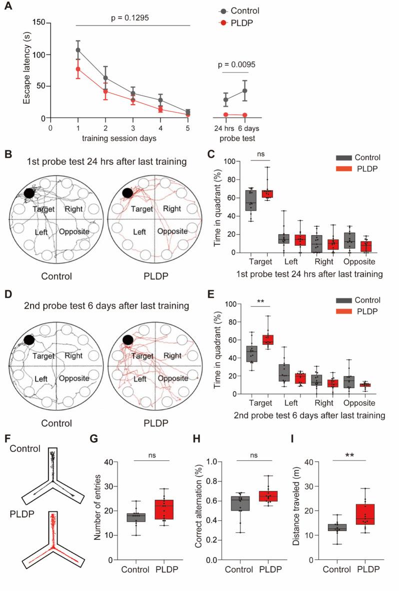 https://cdn.ncbi.nlm.nih.gov/pmc/blobs/2a55/12119931/fd2a724734e0/41598_2025_3362_Fig2_HTML.jpg