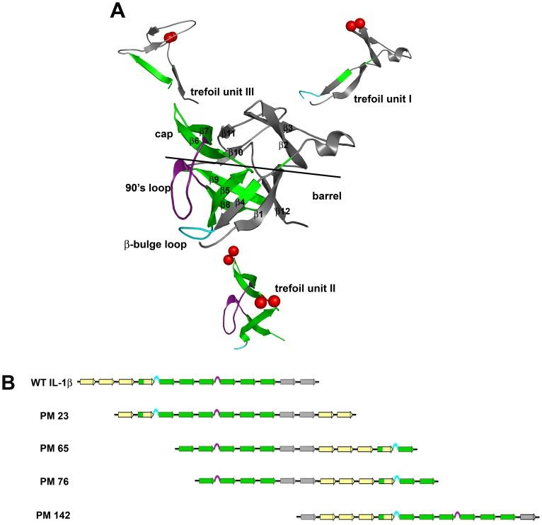 https://cdn.ncbi.nlm.nih.gov/pmc/blobs/2a55/3367917/c954f114e142/pone.0038512.g001.jpg