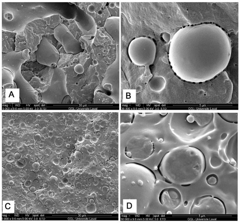 https://cdn.ncbi.nlm.nih.gov/pmc/blobs/2a55/9610215/ba43e511f9f5/molecules-27-06819-g003.jpg