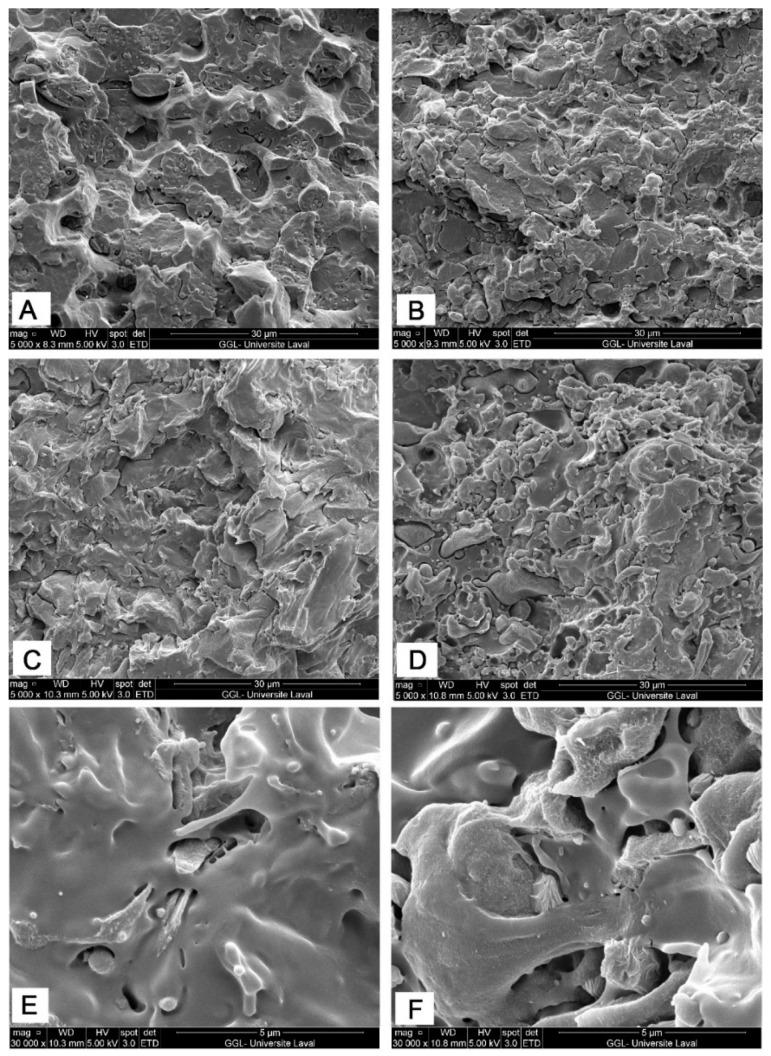 https://cdn.ncbi.nlm.nih.gov/pmc/blobs/2a55/9610215/d2bcdf657d23/molecules-27-06819-g004.jpg