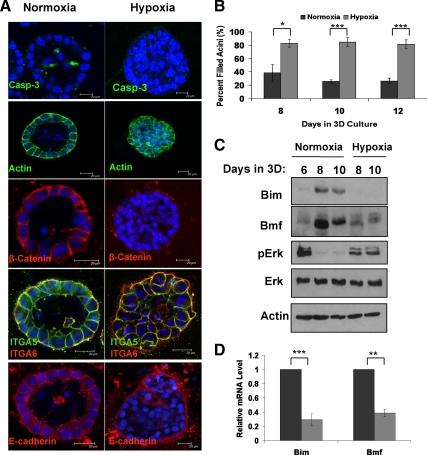 https://cdn.ncbi.nlm.nih.gov/pmc/blobs/2a56/2982135/5ade7ec1e944/zmk0221096480004.jpg