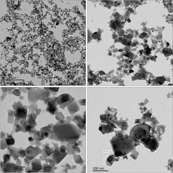 https://cdn.ncbi.nlm.nih.gov/pmc/blobs/2a57/10920649/2352a3b374d7/41598_2024_54659_Fig1_HTML.jpg