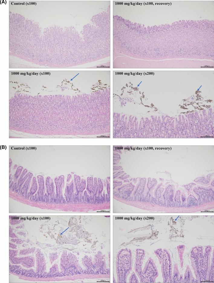 https://cdn.ncbi.nlm.nih.gov/pmc/blobs/2a57/10920649/7f352adb8f50/41598_2024_54659_Fig3a_HTML.jpg