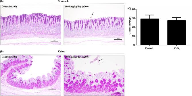 https://cdn.ncbi.nlm.nih.gov/pmc/blobs/2a57/10920649/af40849247f3/41598_2024_54659_Fig5_HTML.jpg