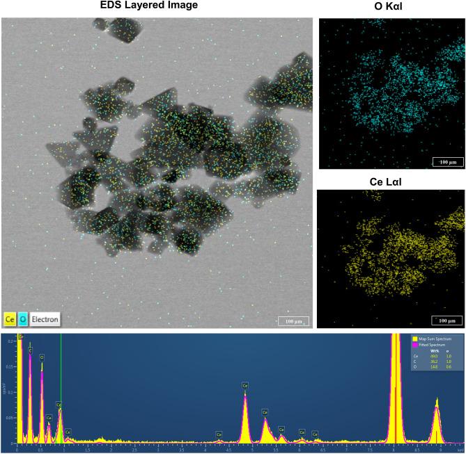 https://cdn.ncbi.nlm.nih.gov/pmc/blobs/2a57/10920649/b177713e2d26/41598_2024_54659_Fig2_HTML.jpg