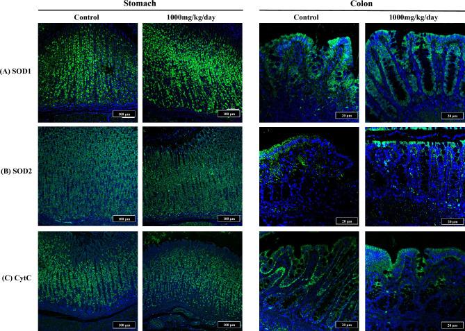 https://cdn.ncbi.nlm.nih.gov/pmc/blobs/2a57/10920649/c135e0fd2863/41598_2024_54659_Fig4_HTML.jpg