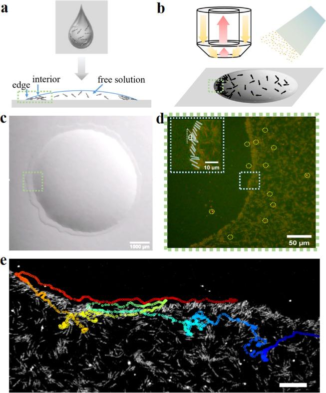 https://cdn.ncbi.nlm.nih.gov/pmc/blobs/2a57/11197528/947d674d4f26/gr1.jpg
