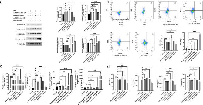 https://cdn.ncbi.nlm.nih.gov/pmc/blobs/2a58/12330018/0f8e52f2b9f5/13287_2025_4558_Fig6_HTML.jpg