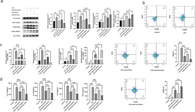 https://cdn.ncbi.nlm.nih.gov/pmc/blobs/2a58/12330018/1323a2eb0267/13287_2025_4558_Fig4_HTML.jpg