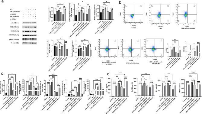 https://cdn.ncbi.nlm.nih.gov/pmc/blobs/2a58/12330018/58fea35cf846/13287_2025_4558_Fig9_HTML.jpg