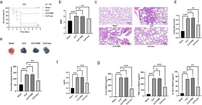 https://cdn.ncbi.nlm.nih.gov/pmc/blobs/2a58/12330018/738c4544f408/13287_2025_4558_Fig2_HTML.jpg