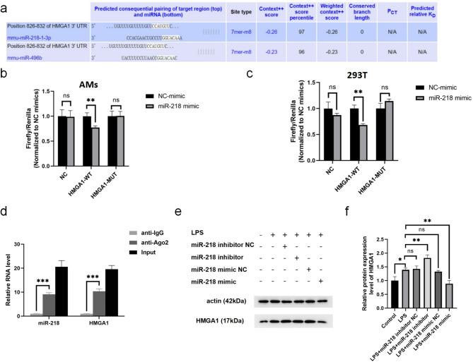 https://cdn.ncbi.nlm.nih.gov/pmc/blobs/2a58/12330018/7fd8029ef048/13287_2025_4558_Fig7_HTML.jpg