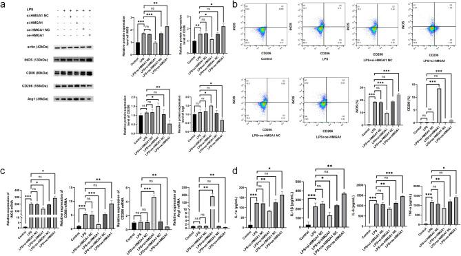 https://cdn.ncbi.nlm.nih.gov/pmc/blobs/2a58/12330018/be6c4eed2496/13287_2025_4558_Fig8_HTML.jpg