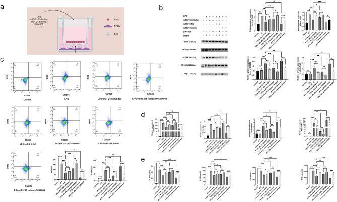 https://cdn.ncbi.nlm.nih.gov/pmc/blobs/2a58/12330018/c90a74144270/13287_2025_4558_Fig5_HTML.jpg